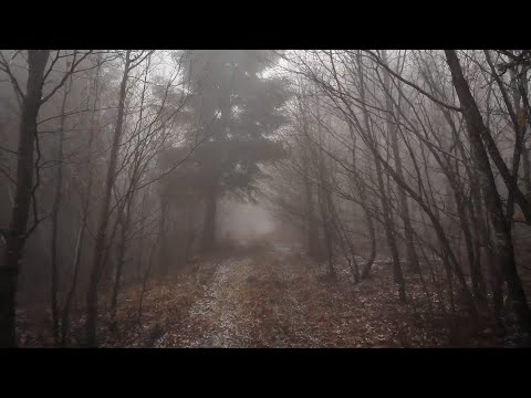 Видео: Bones — UnsolvedResolve (2020) | Перевод | Rus Lyrics |