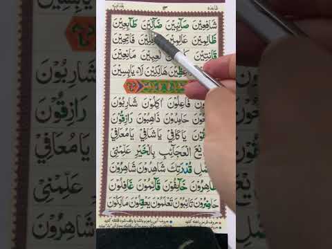 Видео: Дарси 14 аз коидаи багдоди