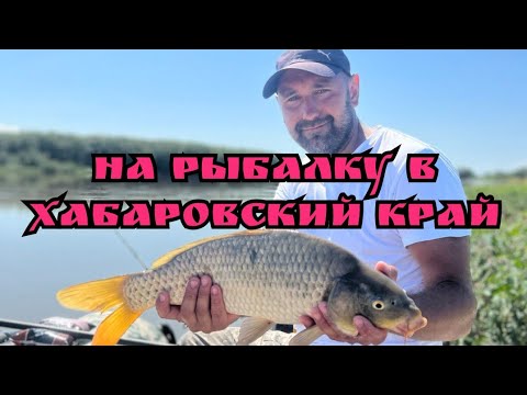 Видео: Отпуск на рыбалке. Сазаны на удочку. Рыбалка на сома. Хабаровский край, турбаза Маяк. Август 2022.