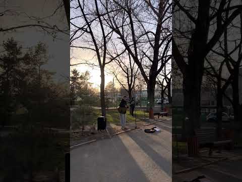 Видео: Уличный певец