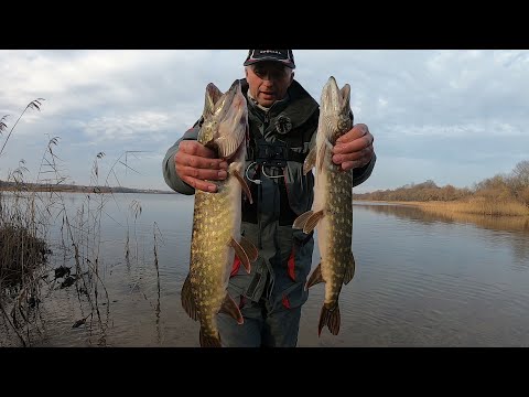 Видео: Правильная Проводка Воблера -Лучший вариант получить поклёвку осенней Щуки. Рыбалка на щуку осенью.