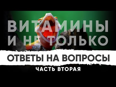 Видео: Ответы на ВАШИ вопросы. Часть 2