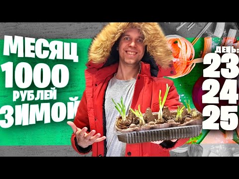 Видео: МЕСЯЦ НА 1000 рублей ЗИМОЙ ❄ ДЕНЬ 23, 24, 25 😲 ТУРНИР по ПОЕДАНИЮ СЭНДВИЧЕЙ / Бесплатные РОЛЛЫ