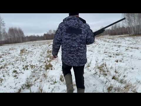 Видео: Охота на зайца в Сибири 