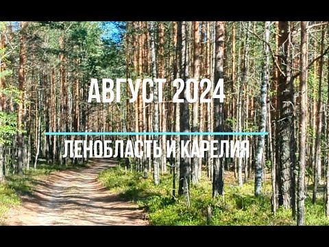 Видео: Ленобласть август 2024 года