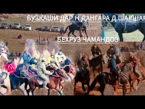 Видео: Бузкаши Дар н.Дангара д.Шаршар