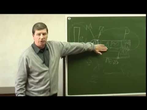 Видео: Юрий Александров - Теория функциональных систем.  Курс: Системная психофизиология
