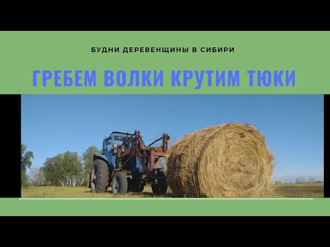 Видео: Заготовка сена трактором//Сенокос 2020