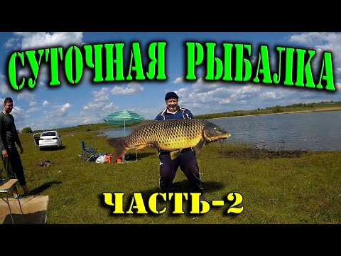 Видео: Как рыбачат настоящие карпятники. Суточная рыболовная сессия  (ЧАСТЬ-2). Рыбалка просто сказка.