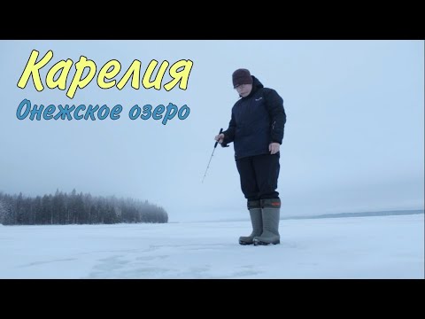 Видео: Клëв окуня. Онего. Карелия.