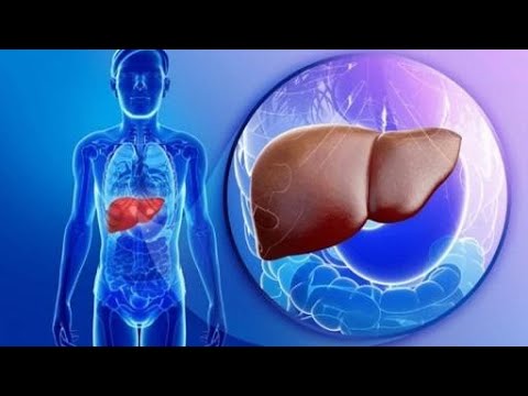 Видео: Ролята на хепатопротекторите при хронични хепатити