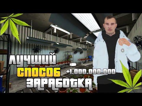 Видео: ЛУЧШИЙ СПОСОБ ЗАРАБОТКА НА МАТРЕШКА РП!? ВСЕ О ПРОДАЖЕ ТРАВЫ!