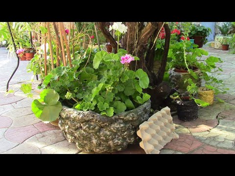 Видео: КАШПО ИЗ ЯИЧНЫХ ЛОТКОВ И КЛЕЯ ДЛЯ ПЛИТКИ.