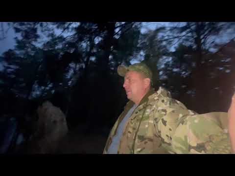 Видео: Пионерский лагерь 🌲🌲🌲 Чёкиаул🍀река Тара отдых с сыном  туризм 24.09.25 г