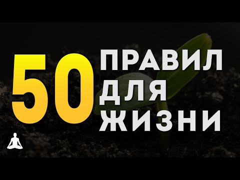 Видео: Кодекс Поведения Стоиков | Стоицизм | Райан Холидей