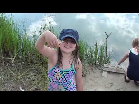 Видео: Вика отдыхает на пруду