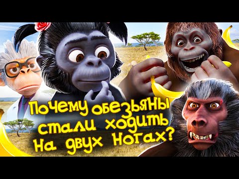 Видео: Почему обезьяны стали ходить на двух ногах? | Андрей, Маруся и другие обезьяны | 2-я серия