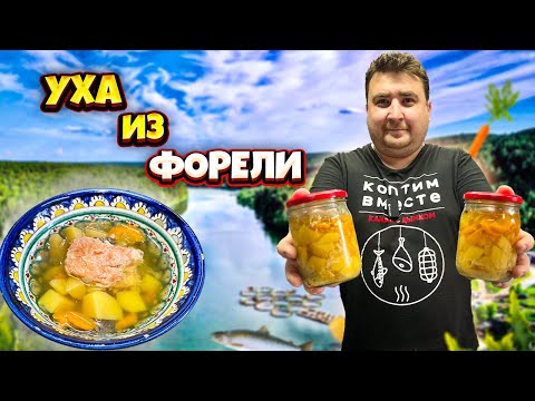 Видео: Вкуснейшая УХА ИЗ ФОРЕЛИ в автоклаве.