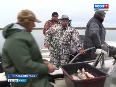 Видео: Инспекторы проверили участок Обской губы и реки Надым