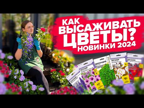 Видео: ВАЖНО ЗНАТЬ ПРИ ВЫСАДКЕ ЦВЕТОВ!