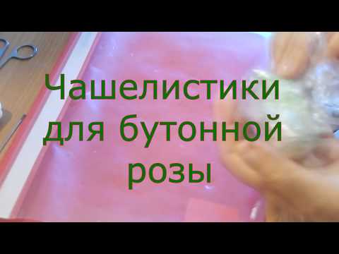 Видео: Чашелистики для бутонной розы из холодного фарфора
