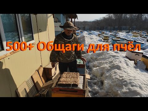 Видео: 500+ Спасаем слабые семьи до облёта.