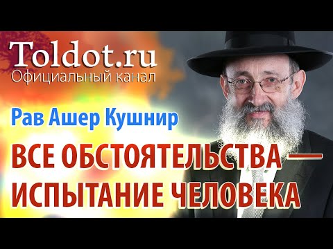Видео: Рав Ашер Кушнир. Все обстоятельства жизни — испытание человека. Месилат Йешарим 11