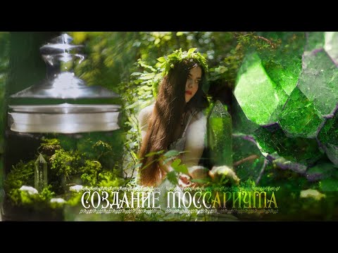 Видео: Создаю моссариум