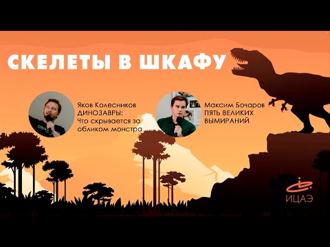 Видео: СКЕЛЕТЫ В ШКАФУ: лекции по палеонтологии
