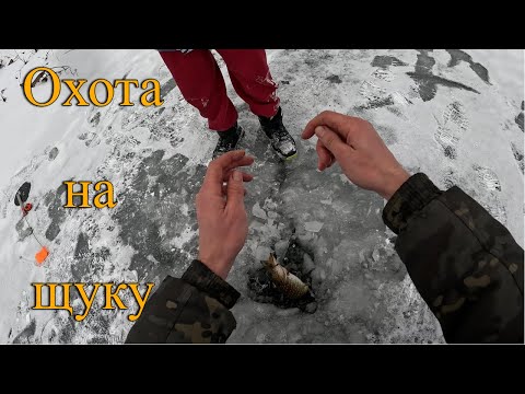 Видео: ОХОТА на ЩУКУ. Ловля на жерлицы.