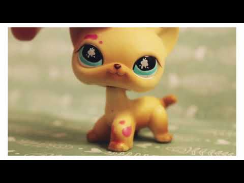 Видео: - LPS: Все мои стоячие кошки -