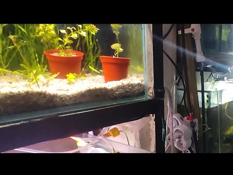 Видео: Прибираюсь в мини Разводни 