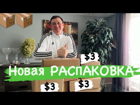 Видео: РАСПАКОВКА Потерянных ПОСЫЛОК по $3 Доллара 📦 Приятно Удивила 😳