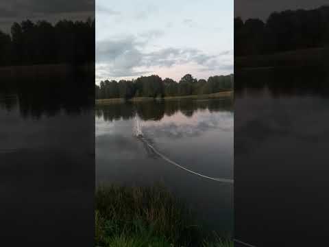 Видео: Магнитная рыбалка для начинающих - день первый...