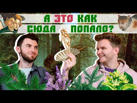 Видео: Предновогодний шоколадно-ананасовый удар | Слепые затесты от @elenamakeup4you