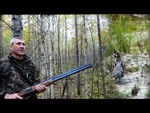 Видео: Охота на рябчика 2022