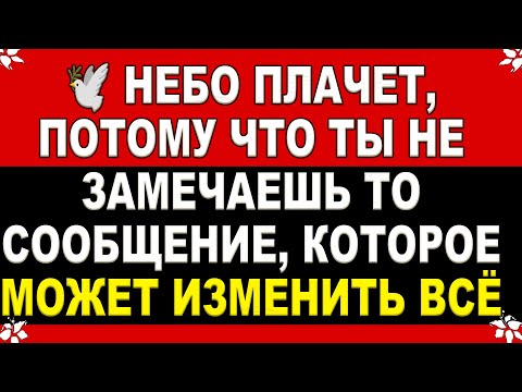Видео: 🕊️ОТКРОЙ НЕМЕДЛЕННО! НЕБО ПЛАЧЕТ, ПОТОМУ ЧТО ТЫ НЕ ЗАМЕЧАЕШЬ ТО СООБЩЕНИЕ,КОТОРОЕ МОЖЕТ ИЗМЕНИТЬ ВСЁ