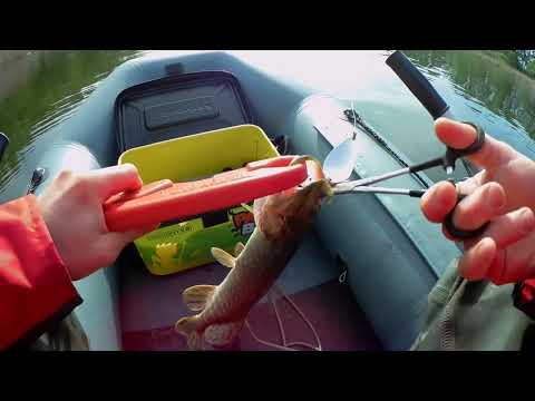 Видео: Колебалка На Щуку. Эта Блесна ловит ВСЕГДА! Рыбалка На Щуку С Лодки. Ловля Щуки Весной 2020