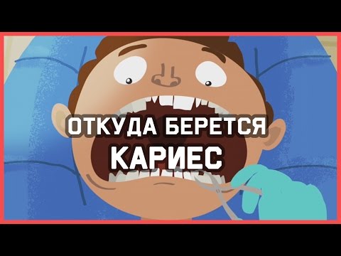 Видео: Edu: Откуда берется кариес?