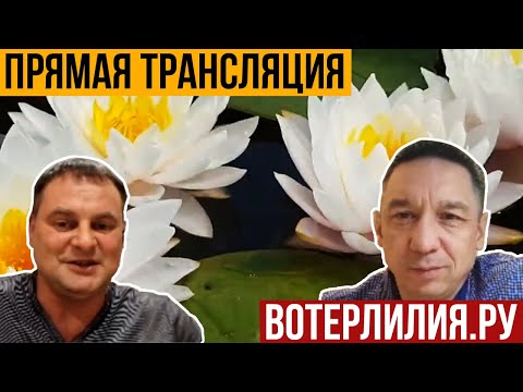 Видео: Запись стрима с Константином Хох с канала Вотерлилия.ру