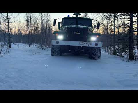 Видео: (ЧАСТЬ 2) Цепи. Дорога домой