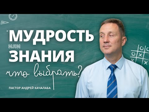 Видео: Мудрость или знания, что выбрать?