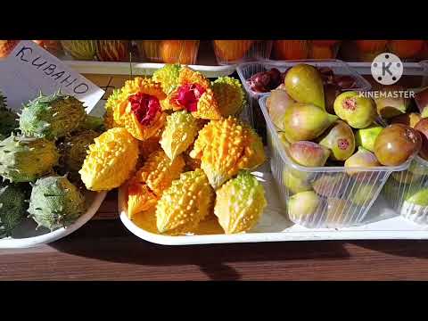 Видео: 2929. ЕЗДИЛИ на ЦЕНТРАЛЬНЫЙ рынок. АДЛЕР🤗. СТОЛЬКО ВКУСНОГО.. 😋
