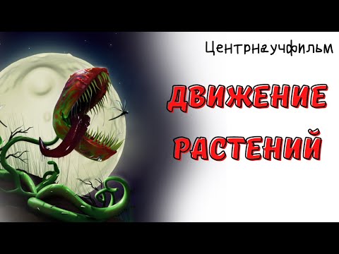 Видео: Движение растений. Тропизмы и настии (Центрнаучфильм)