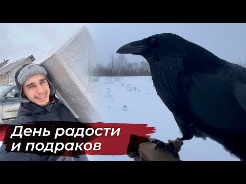 Видео: Гоша доделывает гнездо, отпустил его летать! Большая распаковка посылки.