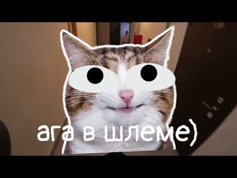 Видео: HONDA SUPER CUB AA04 курьер ч.1