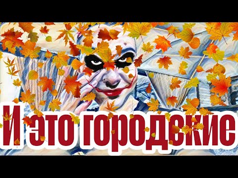 Видео: Диана ВонХ ну и манеры!🤦🏻‍♀Ира нашла чем хвалиться🤔