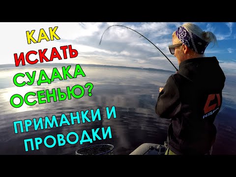 Видео: ОСЕННЯЯ ТЕМА НА СУДАКА! КАК ЛОВИТЬ ОСЕНЬЮ? Ловля судака на джиг 2021! Рыбалка на спиннинг 2021