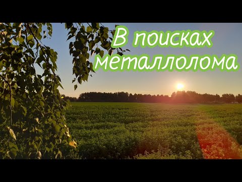 Видео: В поисках металлолома на полях.