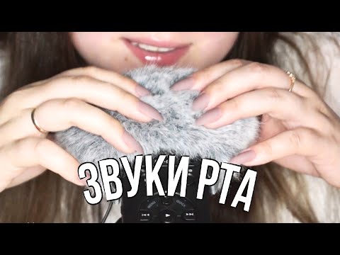 Видео: 𝑨𝑪𝑴𝑷 / 𝑨𝑺𝑴𝑹 🤍 𝑴𝒐𝒖𝒕𝒉 𝑺𝒐𝒖𝒏𝒅𝒔 👅 АСМР Многослойный Неразборчивый Шепот, Звуки Рта, Эхо, Ветрозащита